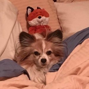 Meet your Posher, Jo